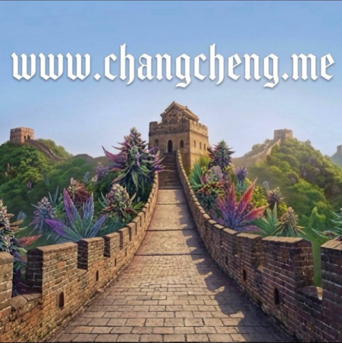 欢迎